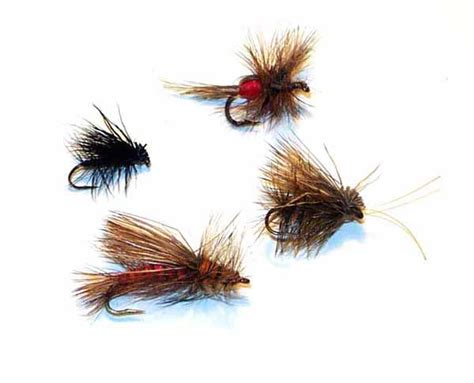 Dry Flies Everything You Wanted To Know