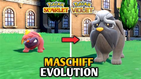 How To Evolve Maschiff Into Mabosstiff In Pokemon Scarlet And Violet | Paldea Pokedex - YouTube