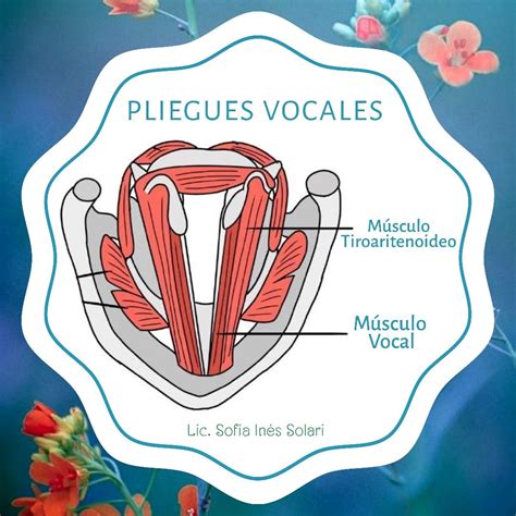 Vocales Palatales