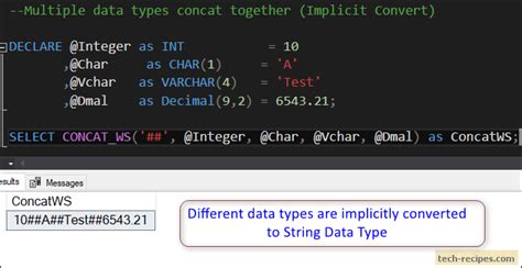 How To Use Concat Ws Function In Sql Server