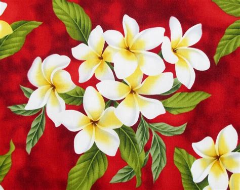 Fabric White Plumeria Bouquet on Christmas Red Tropical - Etsy