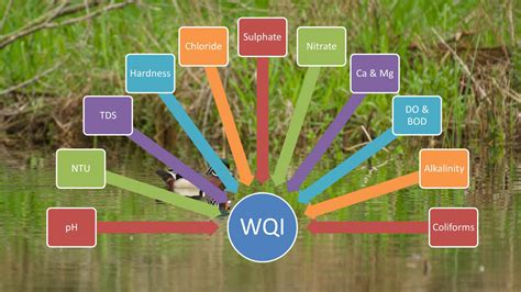 Water Quality Index Calculator Concentration To Wqi Simplified