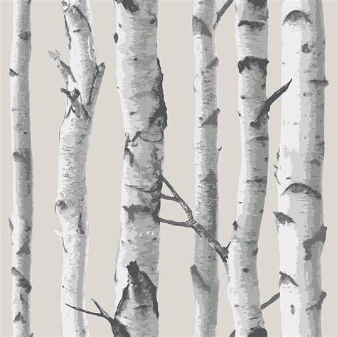 White Birch Wallpapers - Top Free White Birch Backgrounds - WallpaperAccess