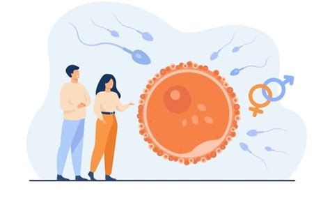 Is Your Babys Birth Sex Really Random Shocking New Study Reveals What