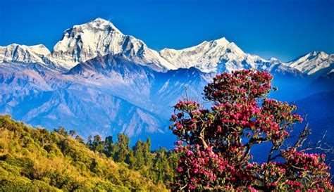 5 best tourist attractions in Nepal