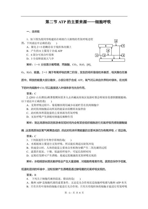 必修一课时训练（第五章 第2讲 Atp的主要来源——细胞呼吸） 3atp的主要来源 细胞呼吸 高中生物必修一 教案库