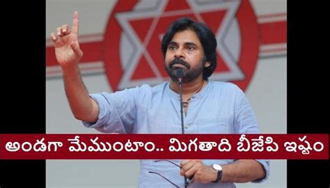 Pawan Kalyan Janasena Party Taken Resolutions To Support Tdp Chief