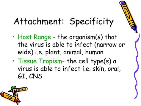 Ppt Human Viral Disease Virus Replication Cycle Powerpoint