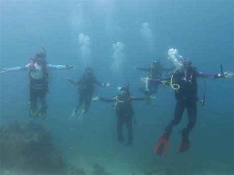 Marine scientists do the 'Tala' dance challenge underwater | GMA ...