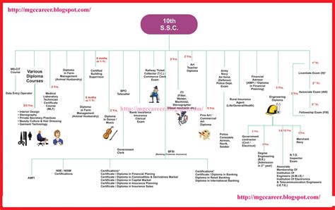 Career After 10th Standard Chart