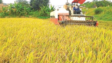 Vietnam Eyes 34 Bln Investment In Agriculture In 2030