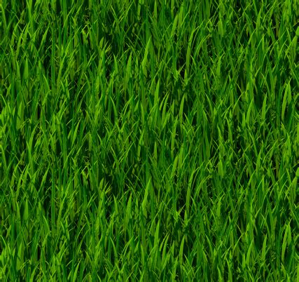 Tiling Texture Grass Stock Photo - Download Image Now - iStock