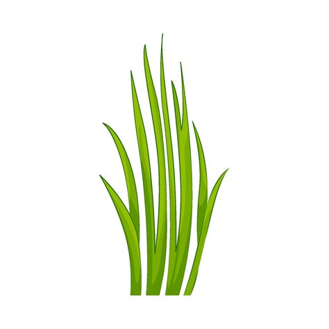 Illustration of grass 43196798 Vector Art at Vecteezy