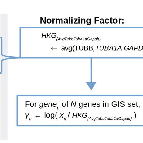 The Third Set Of Housekeeping Genes For Multiple Expression