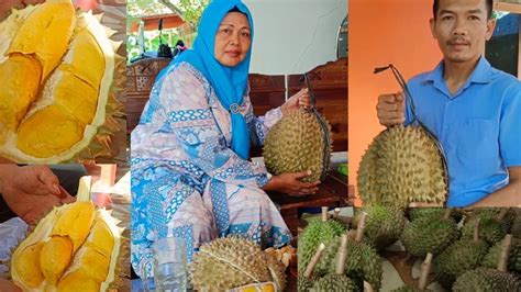 Bikin Penasaran Sensasi Makan Durian Bawor Asli Banyumas Youtube