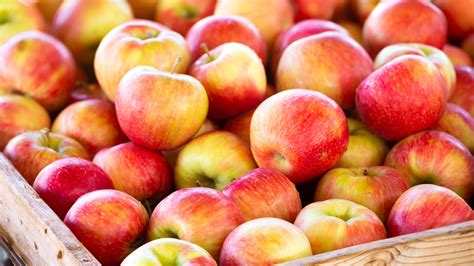 Washington Apple Growers Facing Exporting Challenges