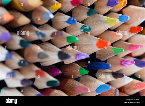 Many Rows Of Sharpened Colored Pencils Facing Sideways With Shallow