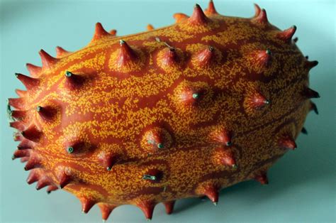 What is Horned melon? | Bachelor Recipe