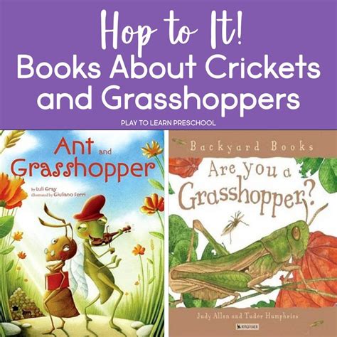 Grasshoppers And Crickets Preschool Picture Books Preschool