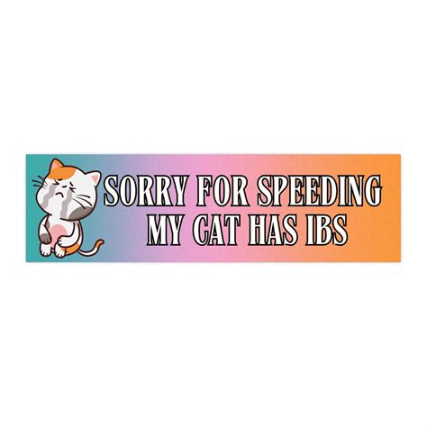 Ibs Cat Bumper Sticker Retro Funny Car Genz Car Accessories Funny