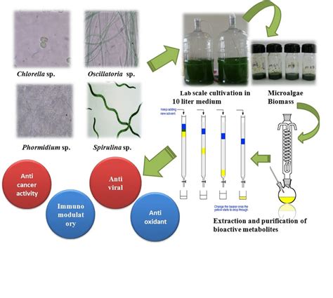 Biotechnological Applications Of Secondary Metabolites From Microalgae