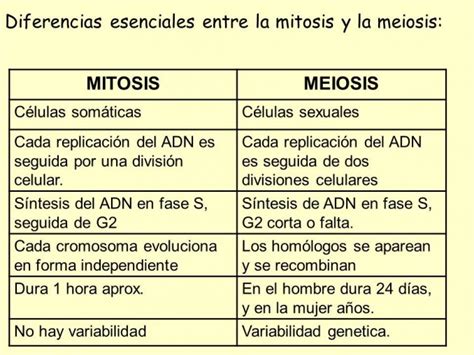 Mapa Conceptual Diferencias Entre Mitosis Y Meiosis Kulturaupice Porn