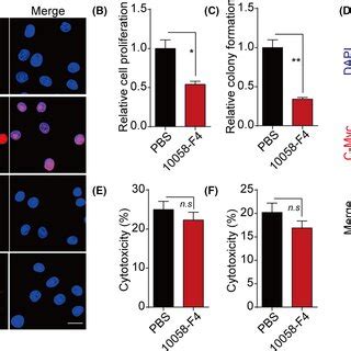 Integrin Itgb Regulates Tumor Progression Through Ybox Binding