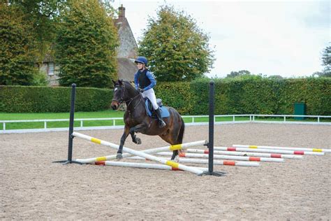 20 jumping rules everyone should know | Pony Magazine