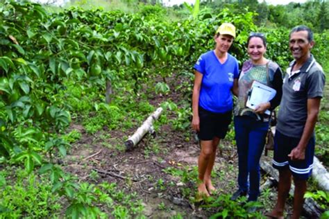 Programa de fomento garantiu renda às famílias das comunidades rurais