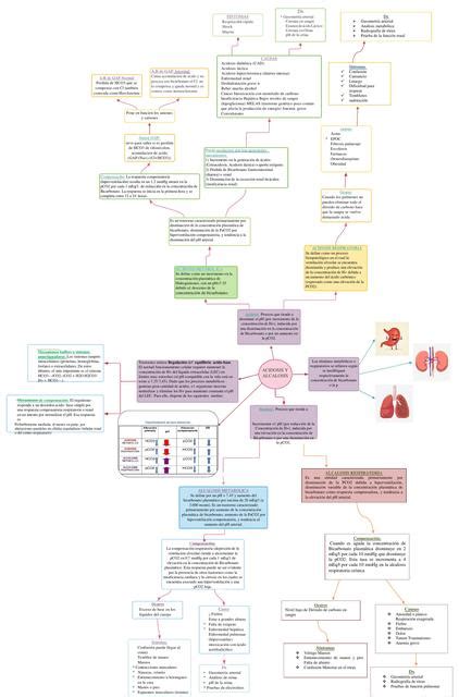 Mapa Mental Acidosis Alcalosis Emily Morales Udocz