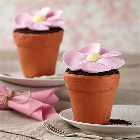 Big Blossom Mini Flower Pot Cakes Recipe Pot Cakes Flower Pot Cake