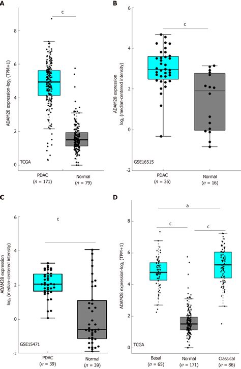 Oncogenic Adam Induces Gemcitabine Resistance And Predicts A Poor