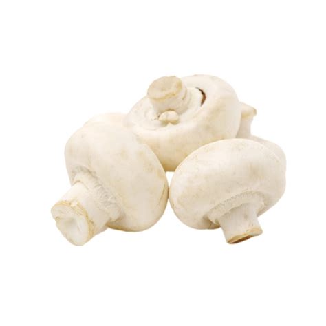 Button Mushroom 200g Ecovidx