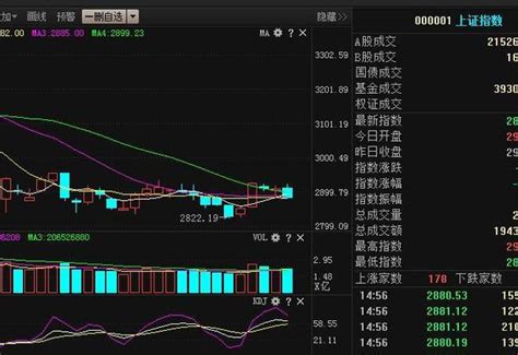 今日股市解析：尾盤跳水原因已浮出水面，下周有望重返2900點 每日頭條