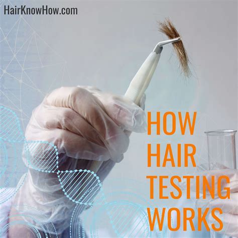 Hair Testing For Drugs - Understand Everything — HairKnowHow.Com ...