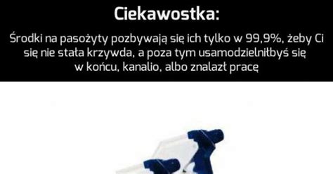 Ciekawostka Na Dzisiaj Jeja Pl