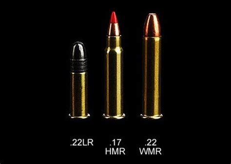 Comparing Bullet Sizes