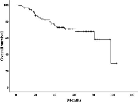 Kaplanmeier Overall Survival Os Curves Of Patients After Liver