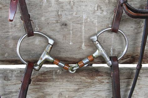 What Is A Snaffle Bit And How Does It Work?