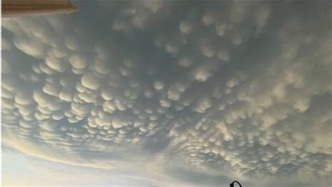 Mammatus clouds