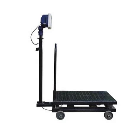 Eagle Plt Mk Series Platform Scale At Rs In Pune Id