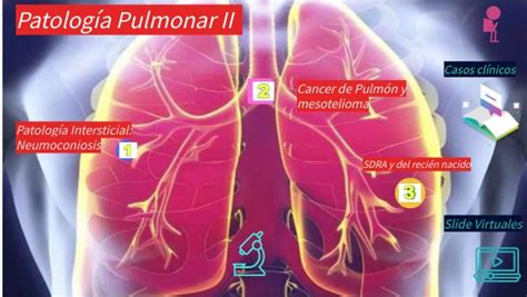 Patolog A Pulmonar Ii