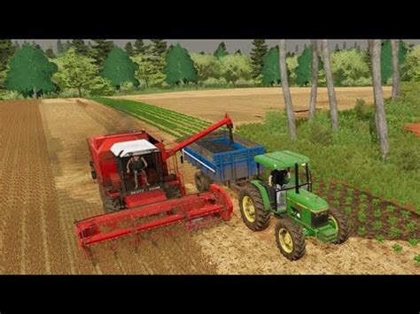 Colhendo Feij O Farming Simulator Youtube