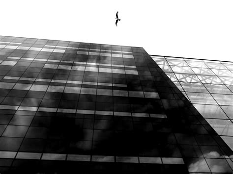 X Wallpaper Black Glass High Rise Building Peakpx