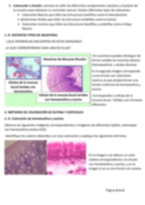 Solution Trabajo Practico N Tecnicas Histologicas Y Tinciones Studypool