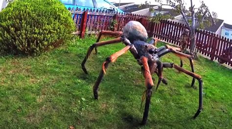 4 Creative Approaches To Diy Giant Spiders For Halloween Make