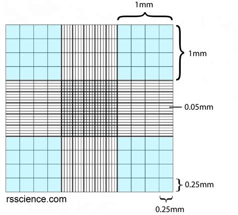 How To Use A Hemocytometer To Count Cells Rs Science