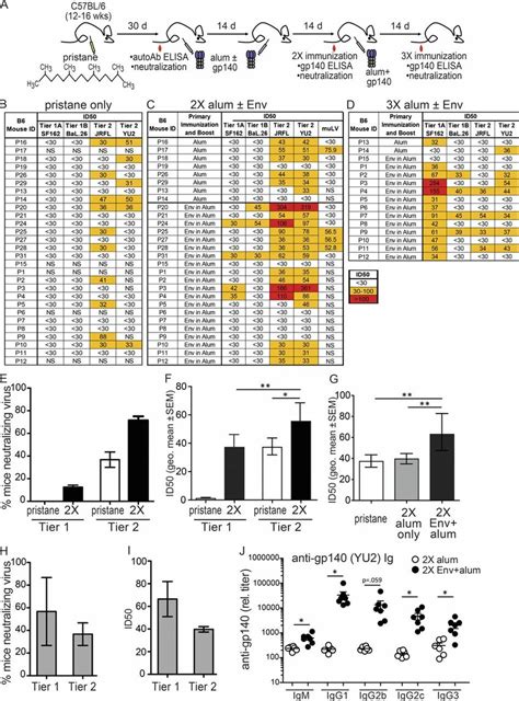 Wild Type Mice Neutralize Tier 2 Hiv 1 After An Experimental Breach In Download Scientific