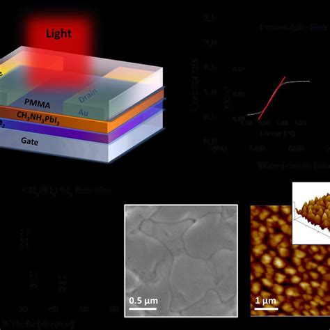 Pdf Ambipolar Solution Processed Hybrid Perovskite Phototransistors