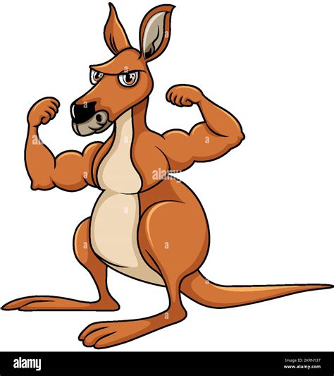 Muscular kangaroo cartoon character illustration Stock Vector Image & Art - Alamy